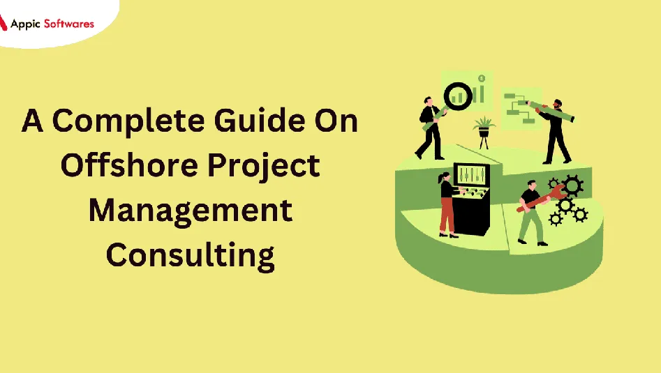 IT project management consulting